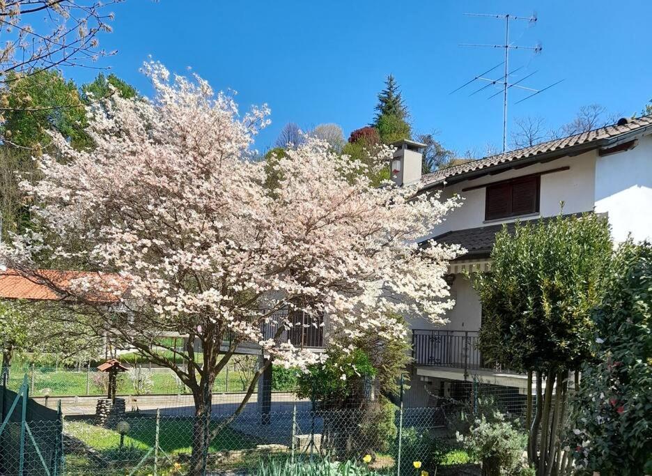 올레기오카스텔로 Il Vecchio Kiwi - House With Private Garden 빌라 외부 사진